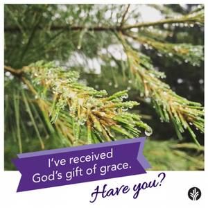 Meet your Posher, Francis